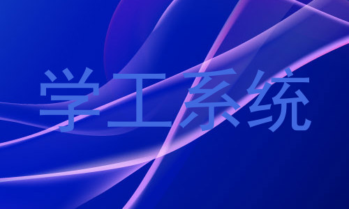 学工系统