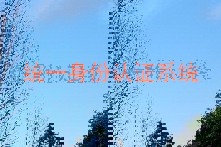 统一身份认证系统