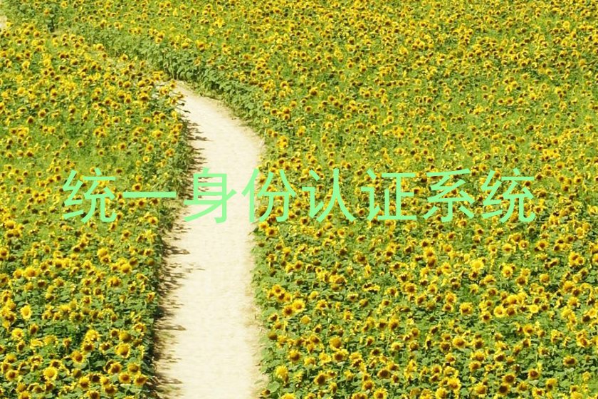 统一身份认证系统