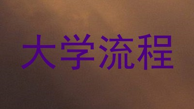 大学流程