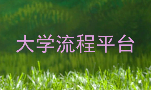 大学流程平台
