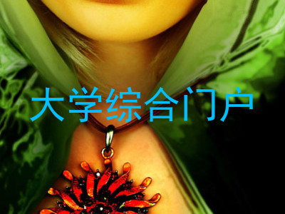大学综合门户