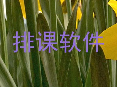 排课软件