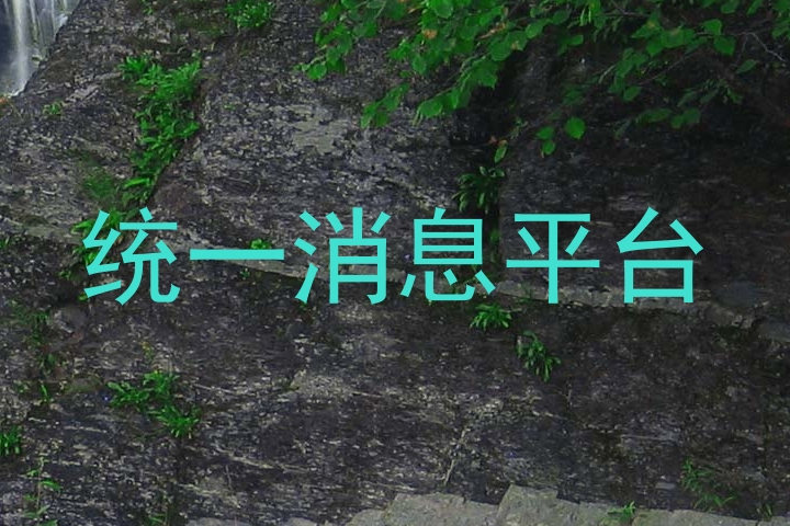 统一消息平台