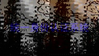 统一身份认证系统