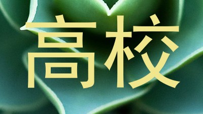高校