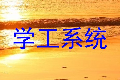 学工系统