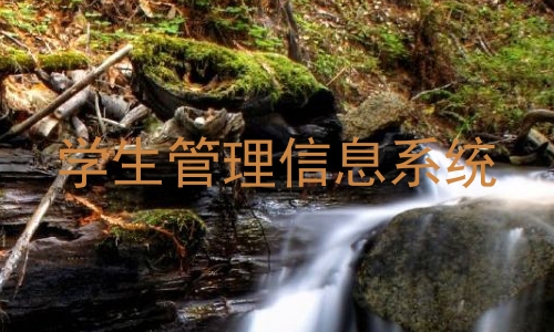 学生管理信息系统