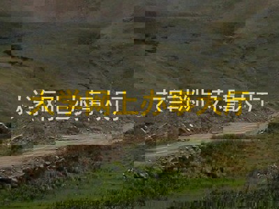 大学网上办事大厅