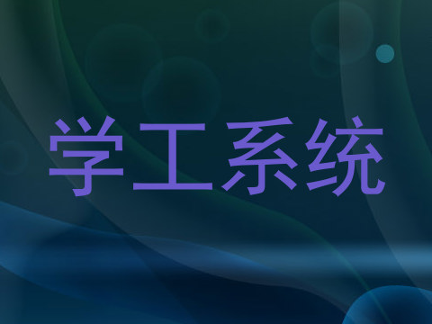 学工系统