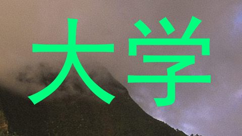 大学