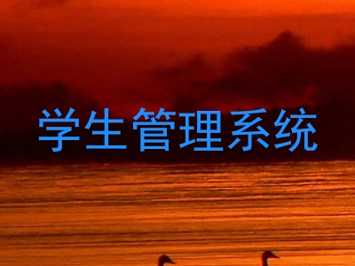 学生管理系统