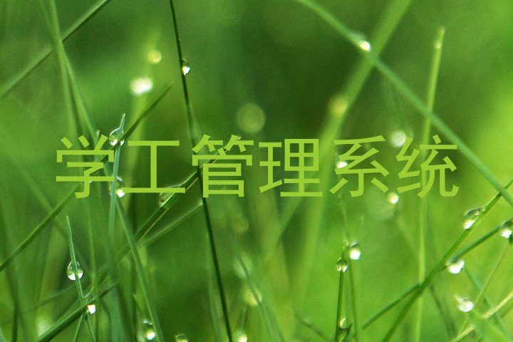 学工管理系统