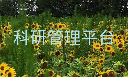科研管理平台