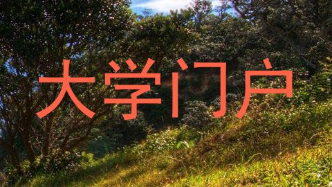 大学门户