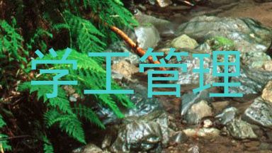学工管理