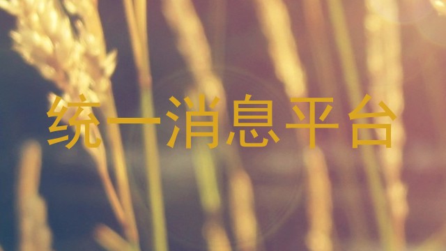 统一消息平台