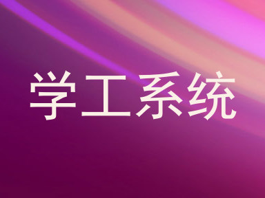 学工系统