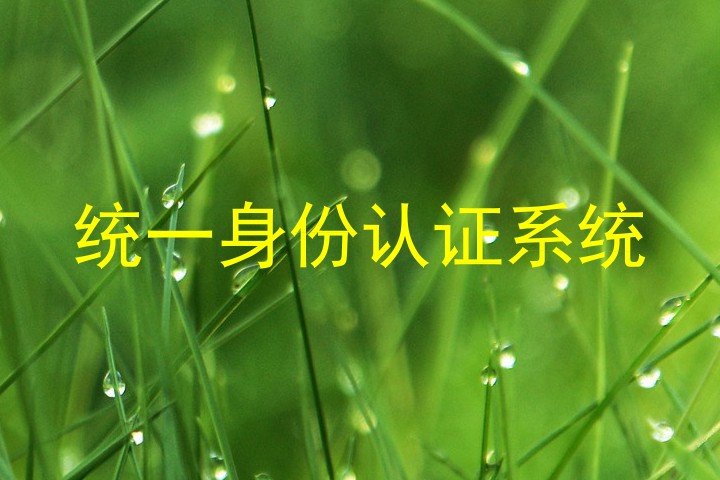 统一身份认证系统