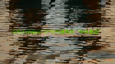 兰州大学融合门户与代理商的“快乐邂逅”