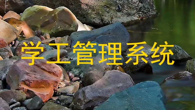 学工管理系统