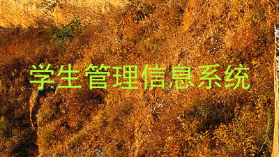 学生管理信息系统