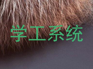 学工系统