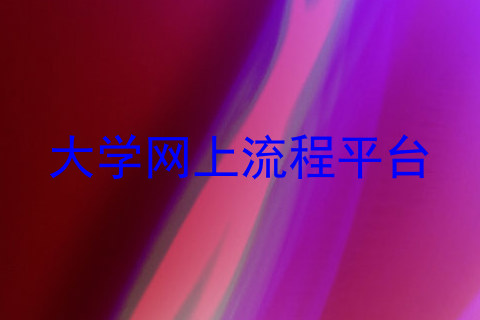 大学网上流程平台