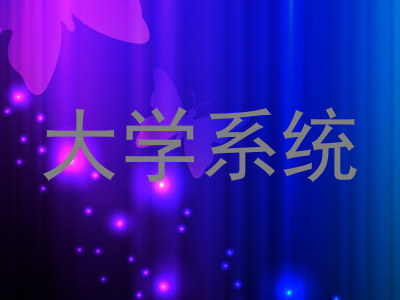 大学系统