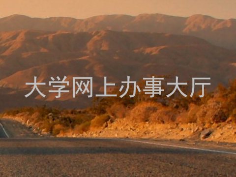 大学网上办事大厅