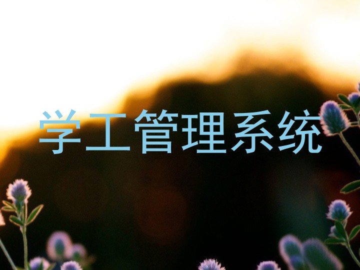学工管理系统
