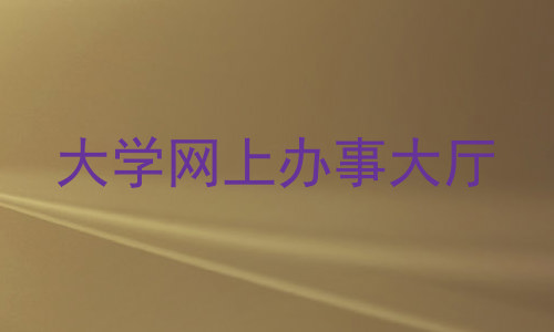 大学网上办事大厅