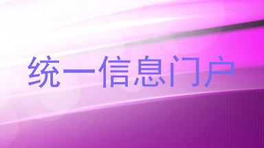 统一信息门户