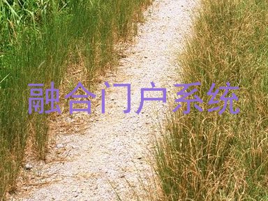 融合门户系统