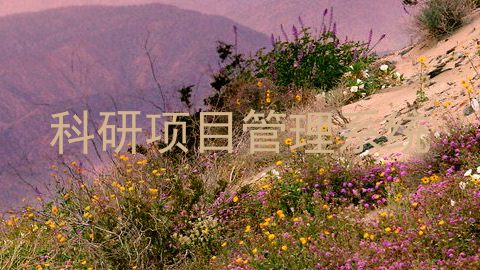 科研项目管理系统