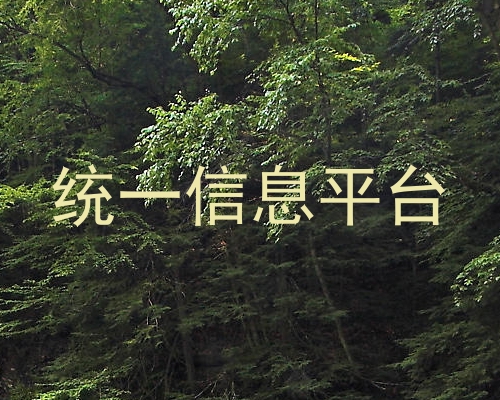 统一信息平台