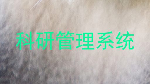 科研管理系统