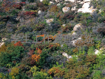 学生工作管理系统