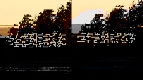 学生管理信息系统