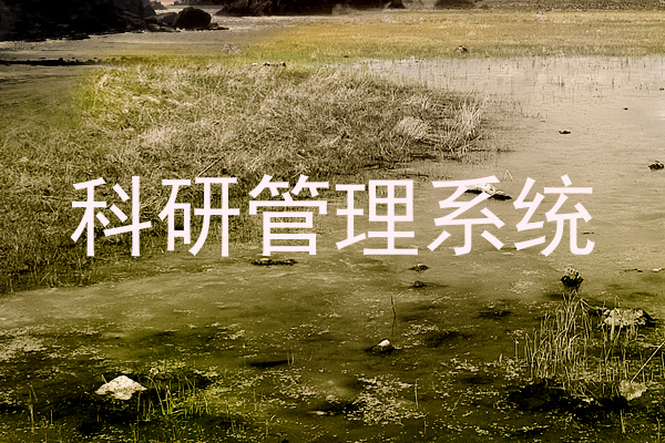 科研管理系统