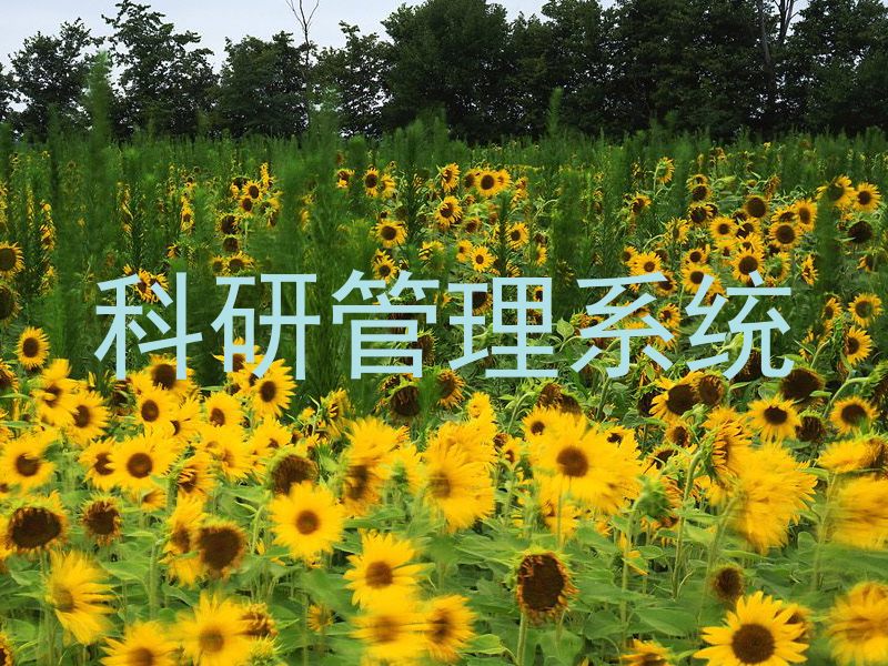 科研管理系统