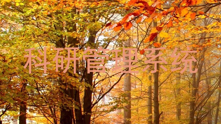 科研管理系统