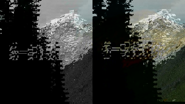 统一身份认证系统