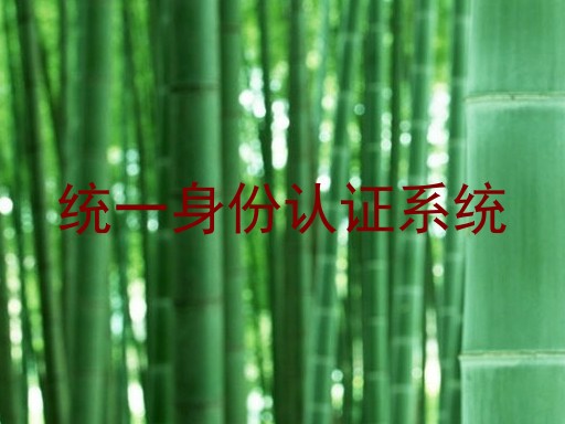 统一身份认证系统