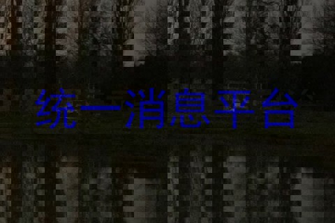 统一消息平台