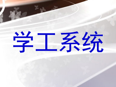 学工系统