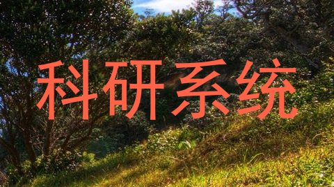 科研系统