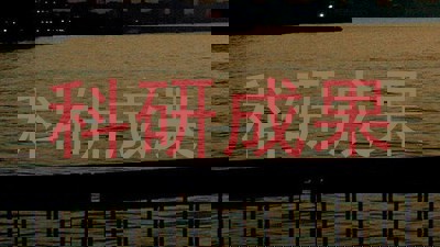 科研成果