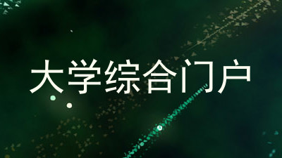 大学综合门户