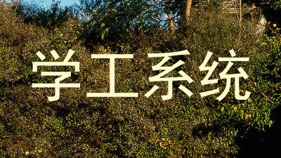学工系统